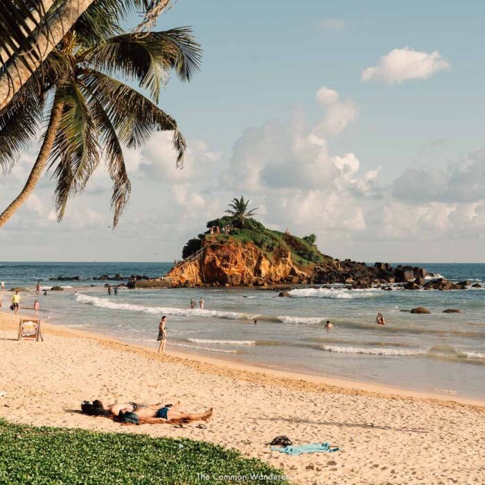 TheCommonWanderer-160 (1)