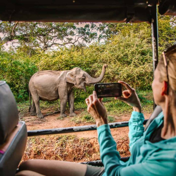 Yala-national-park-closure (2)