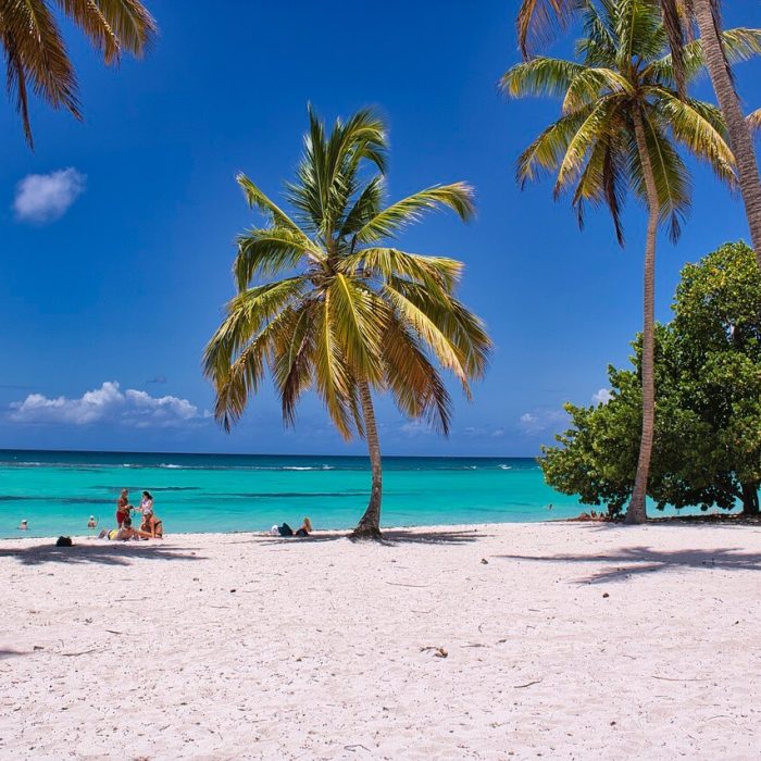 beach-6517214_1280 (1)