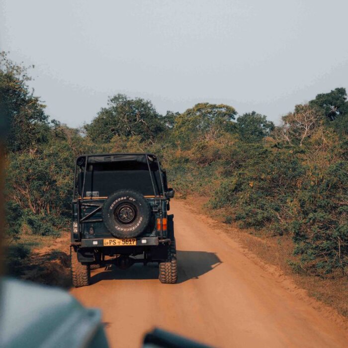 jeep-safari-1024x768-1 (1)